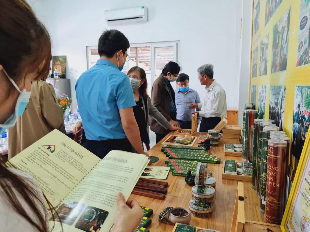 Doanh Nhân Trẻ tỉnh TT Huế