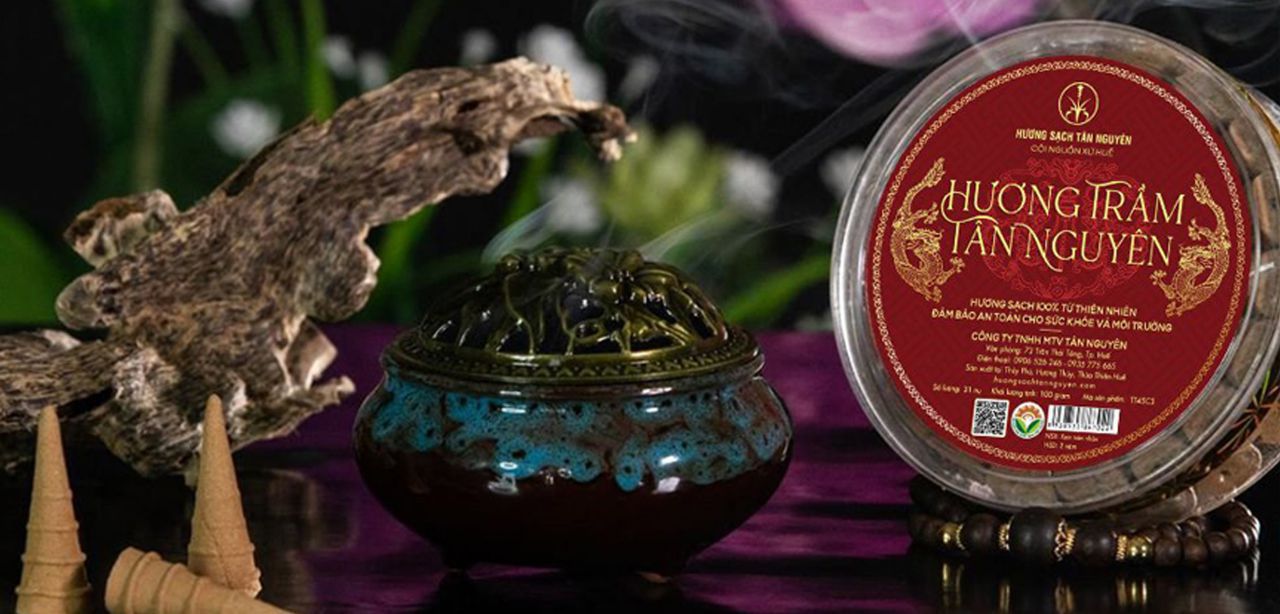 Doanh Nhân Trẻ tỉnh TT Huế