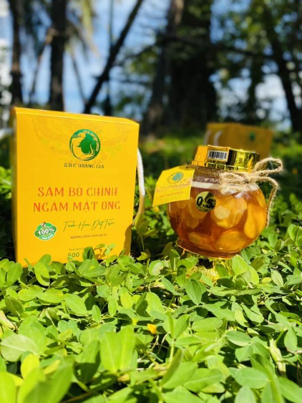 Doanh Nhân Trẻ tỉnh TT Huế