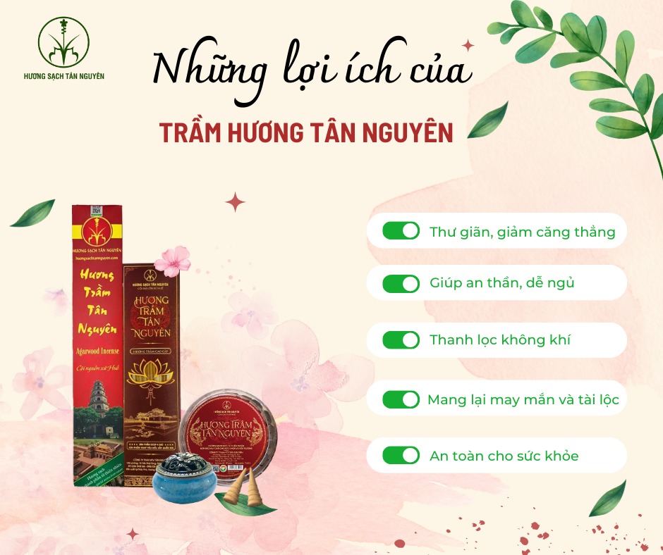 Doanh Nhân Trẻ tỉnh TT Huế